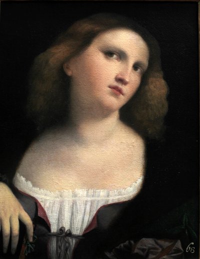 Portrait of a Woman by Palma il Vecchio